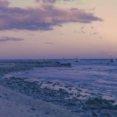 b体育手机网页版登录入口