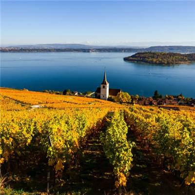 b体育手机网页版登录入口