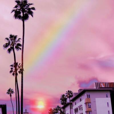 爱游戏APP·官方登录入口(ayx)手机app下载