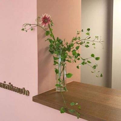 乐鱼中国官方网站