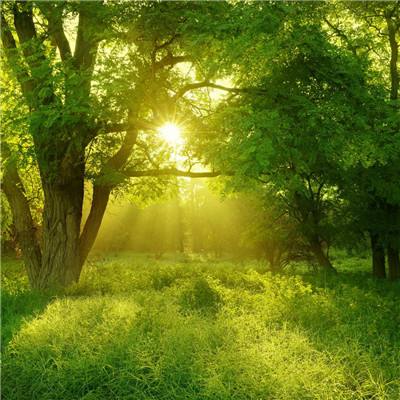 爱游戏APP·官方登录入口(ayx)手机app下载