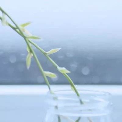 半岛游戏官方网站入口